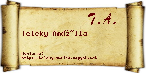 Teleky Amélia névjegykártya